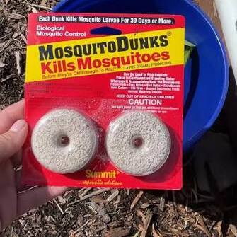 Build Your Own Mosquito Bucket with Debbie Seabrook - logo